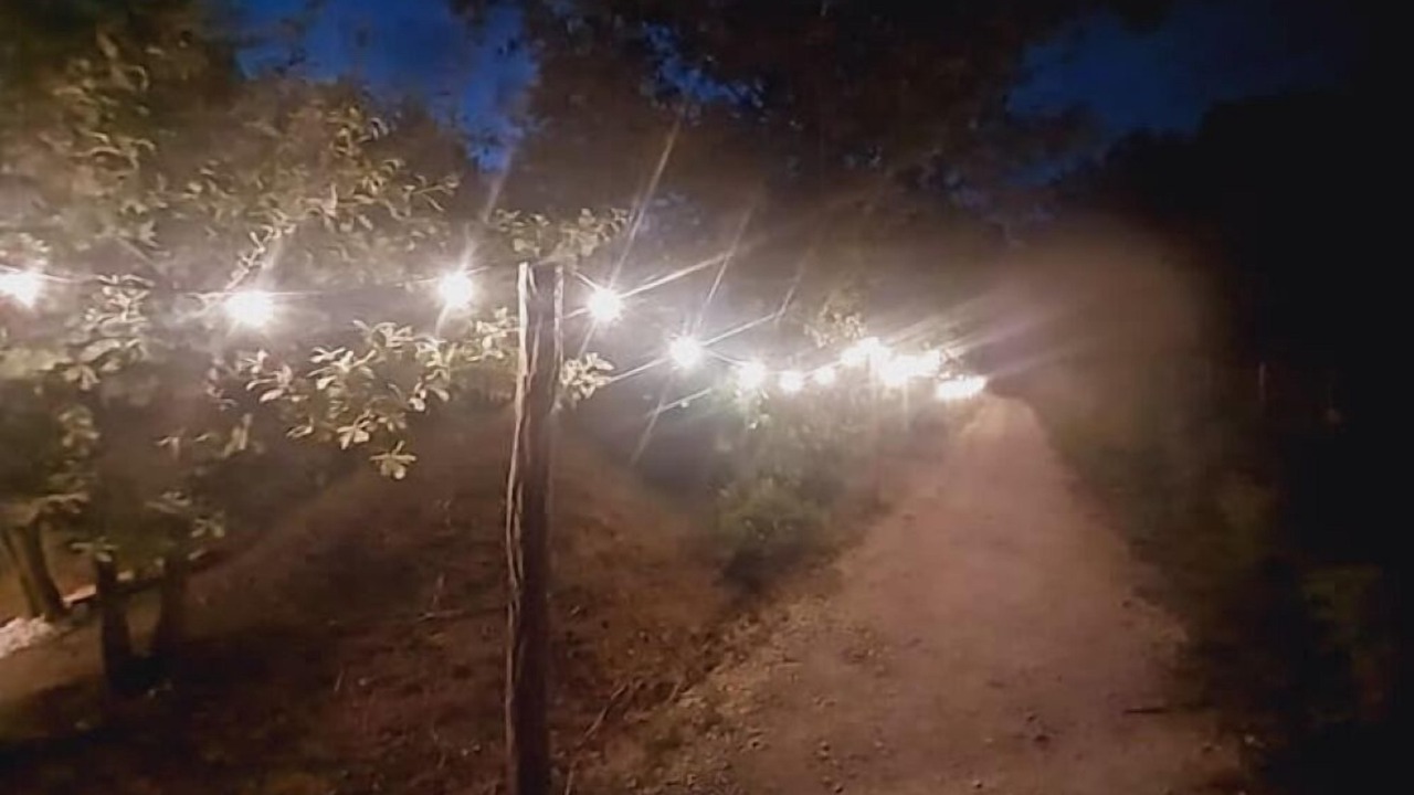 Photo of Others in Saint-Maigrin