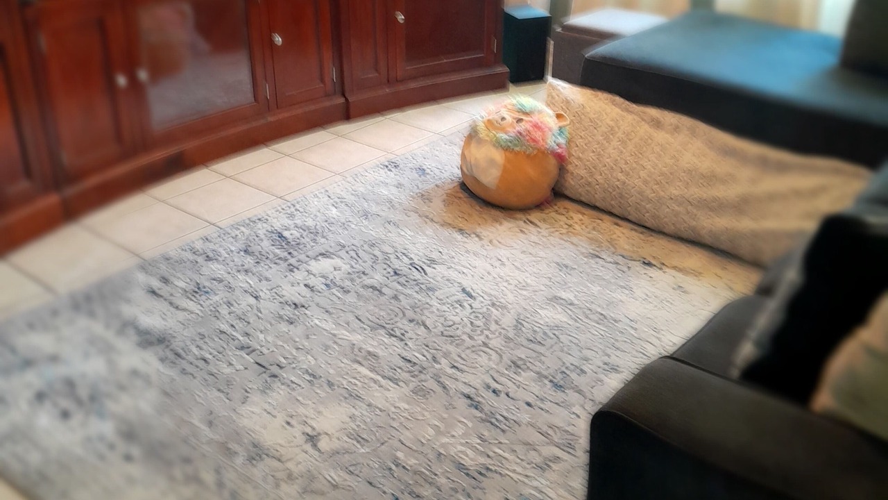 Photo of Livingroom in Cypress