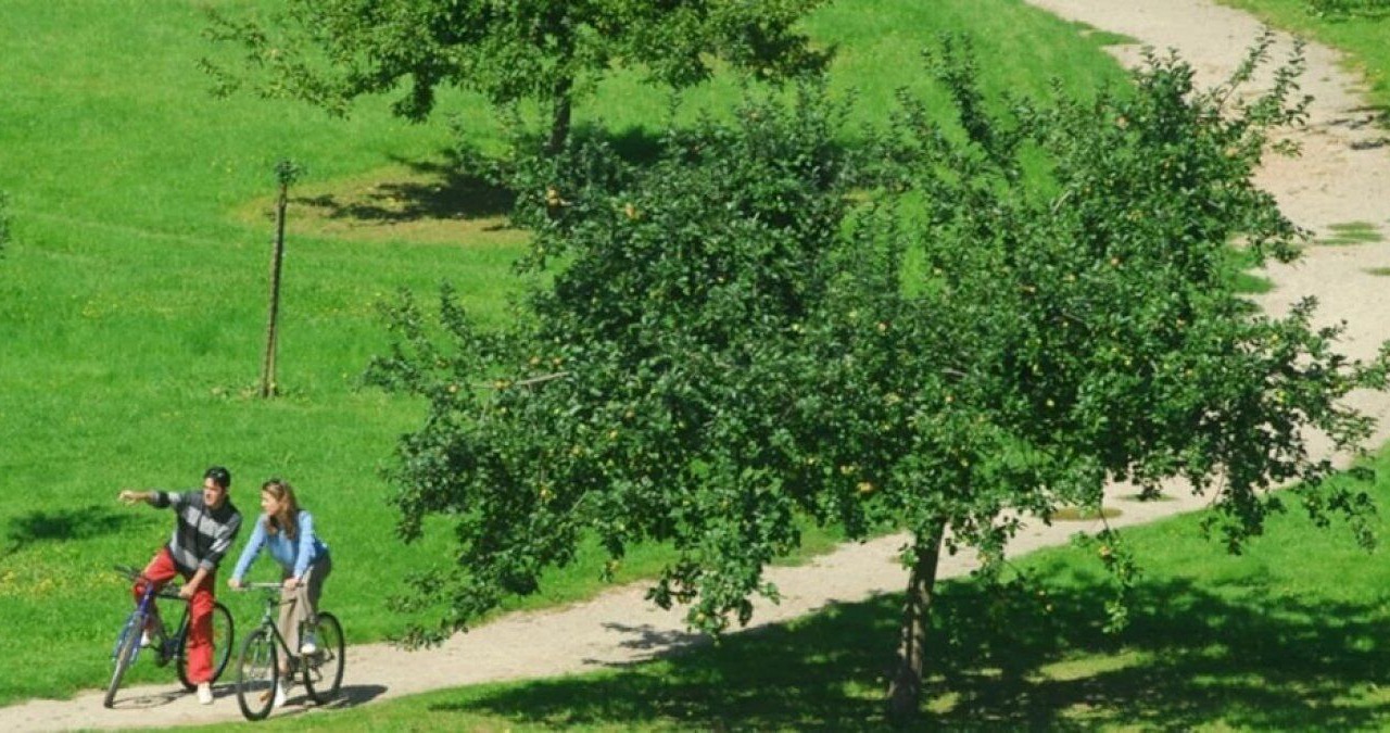 Photo of Others in Jumieges
