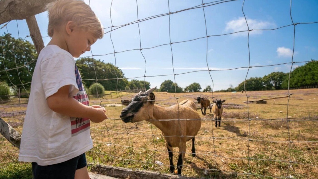 Photo of Others in Les Moutiers-en-Retz