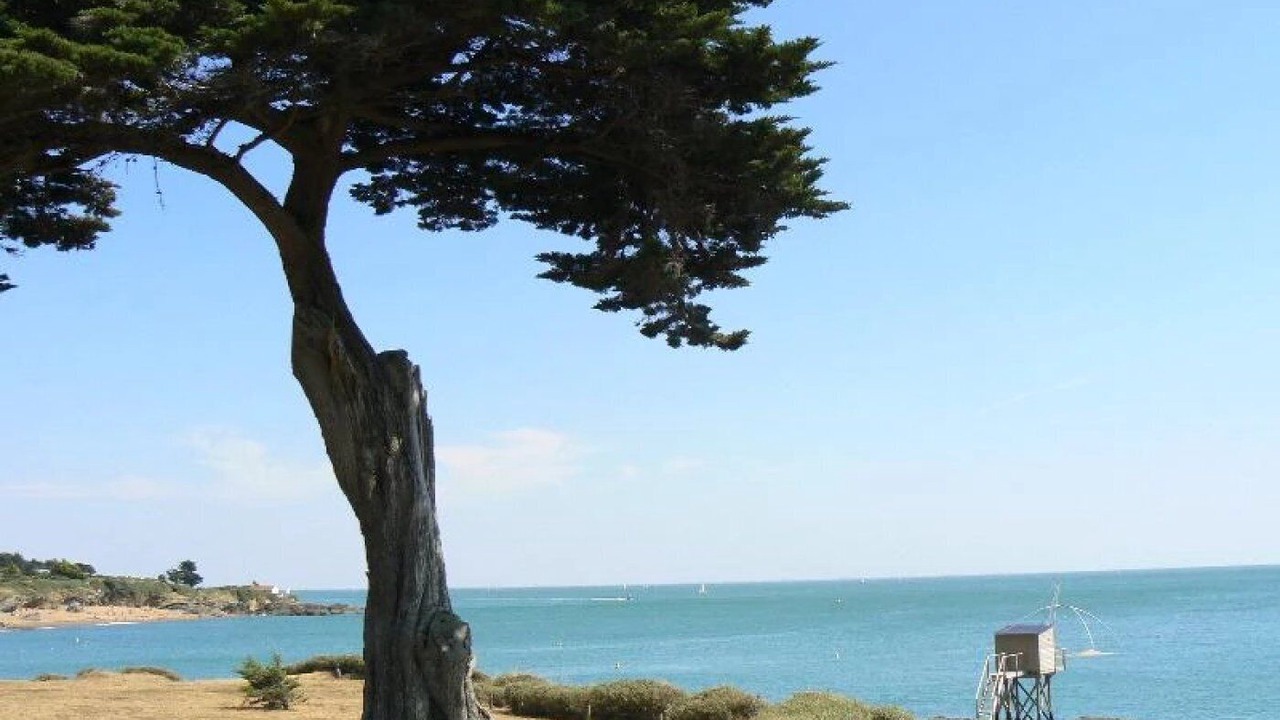 Photo of Others in Les Moutiers-en-Retz