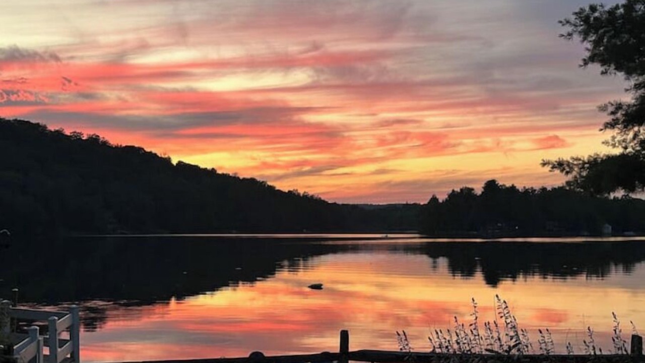 Photo of Outdoor in Sherwood Forest