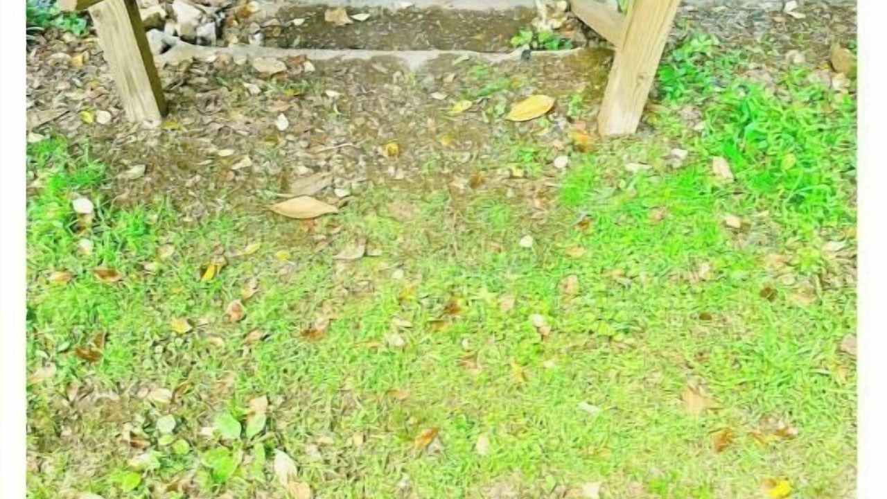 Photo of Outdoor in Sans Souci