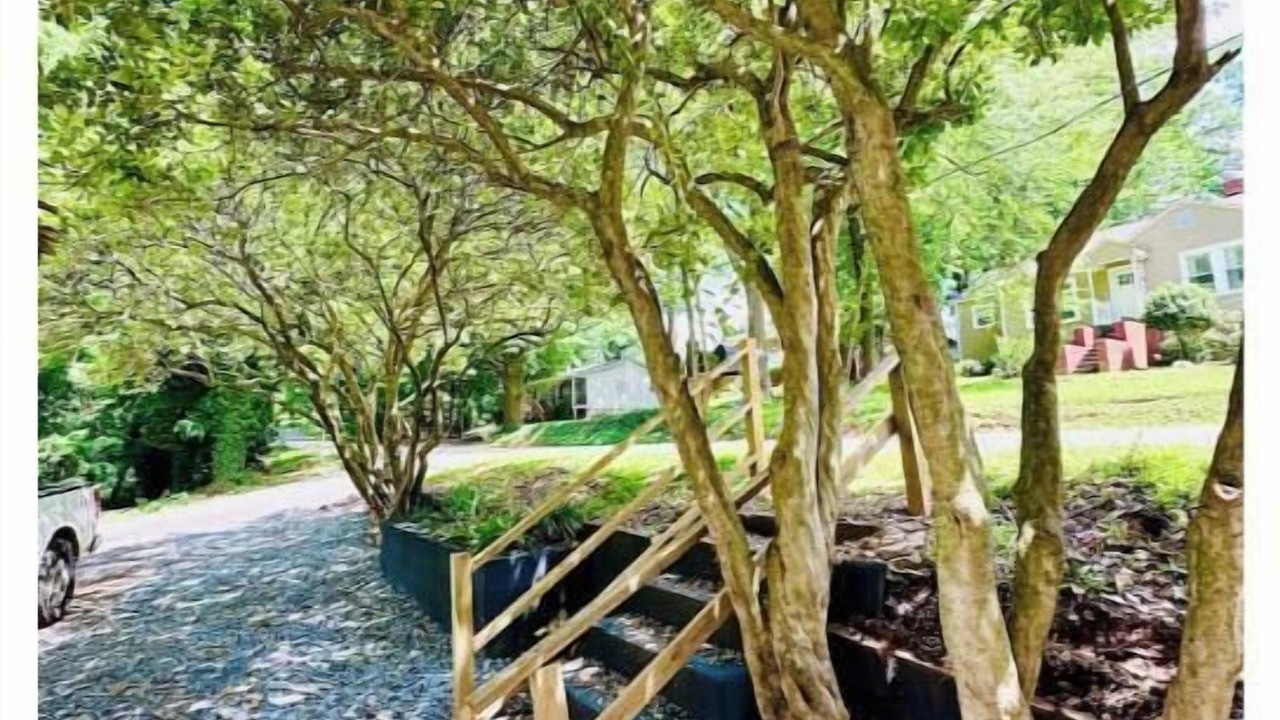 Photo of Outdoor in Sans Souci