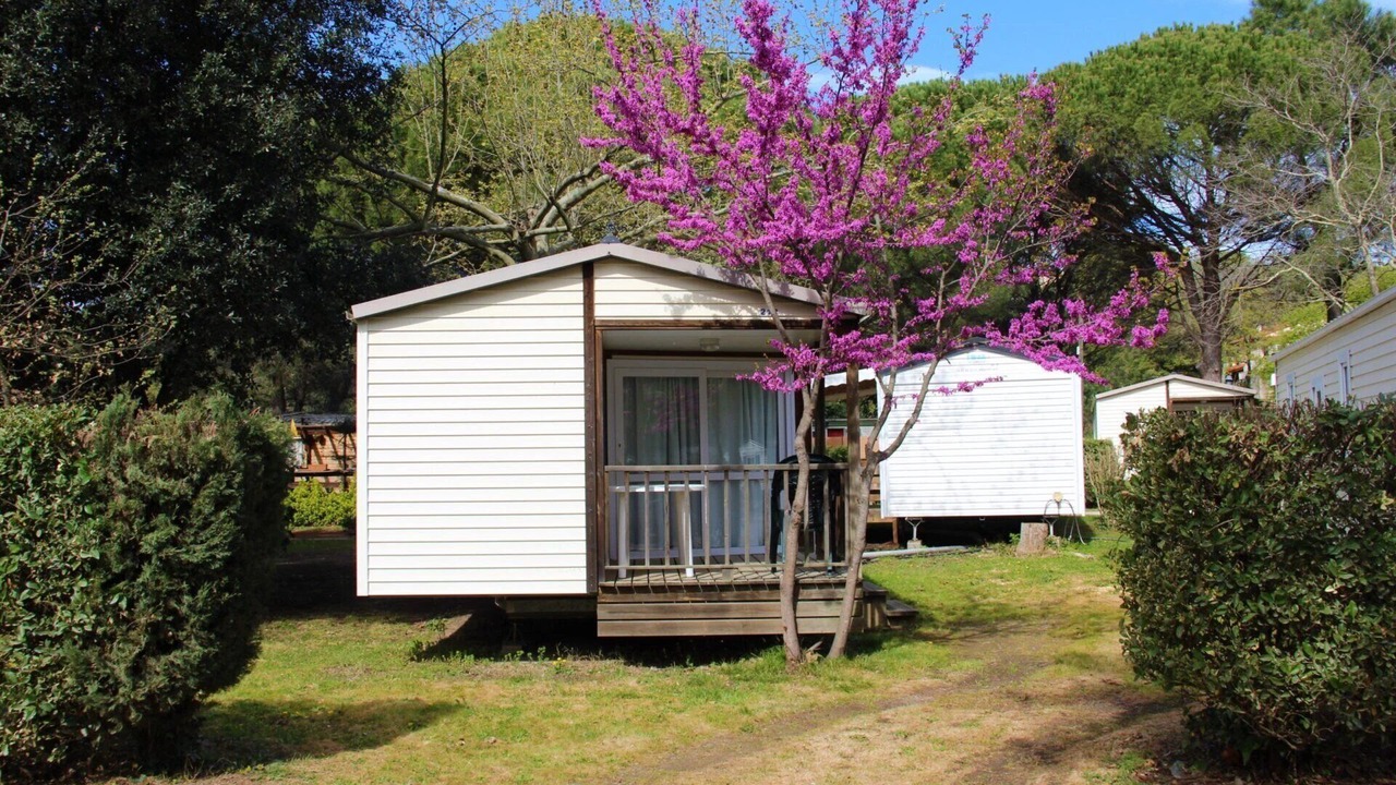 Photo of Outdoor in Saint-Jean-Pla-de-Corts