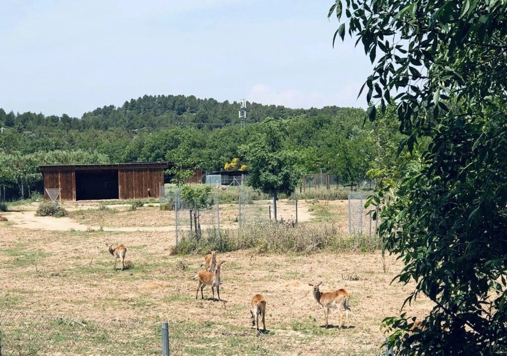 Photo of Others in Sigean
