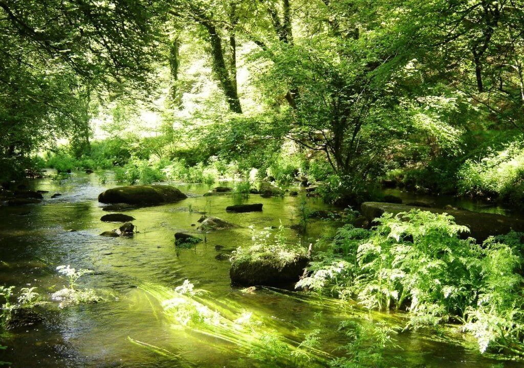 Photo of Others in Inguiniel