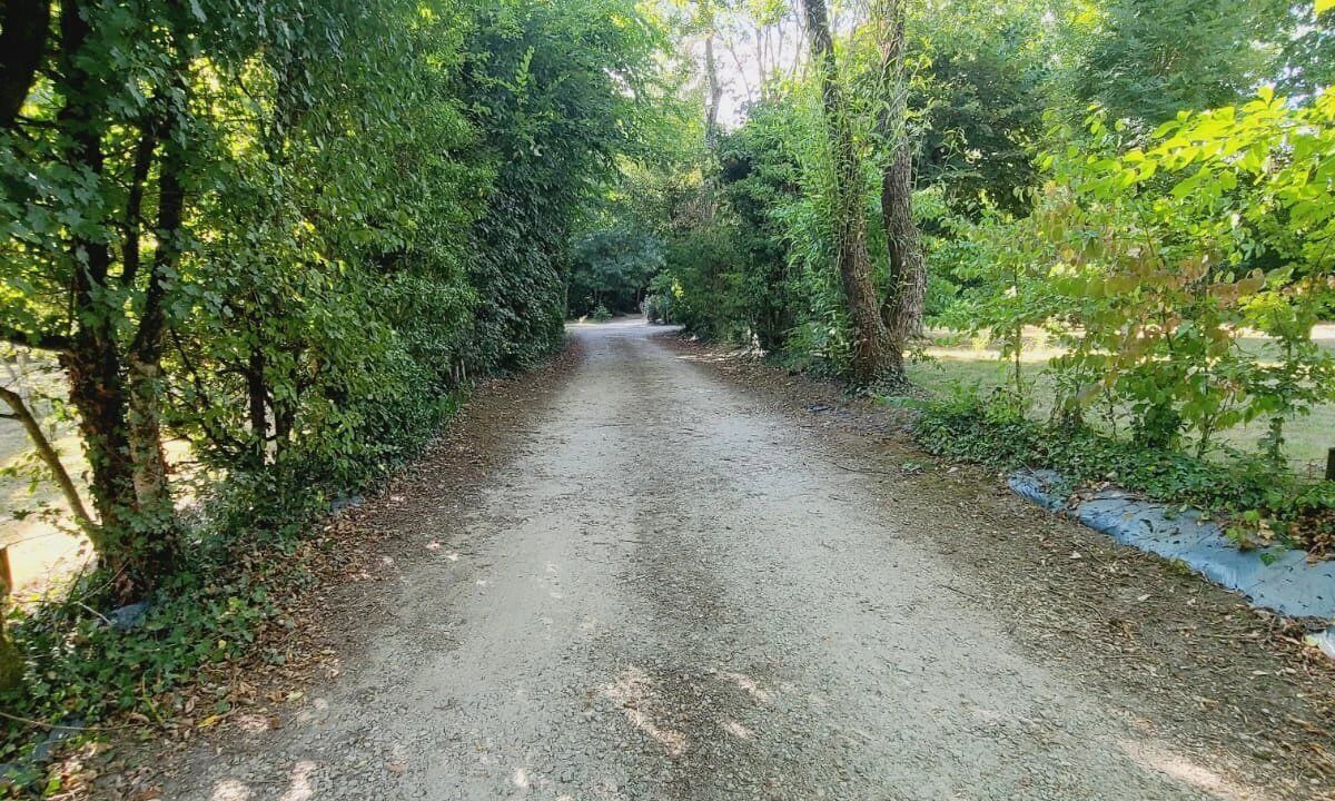 Photo of Others in Commequiers