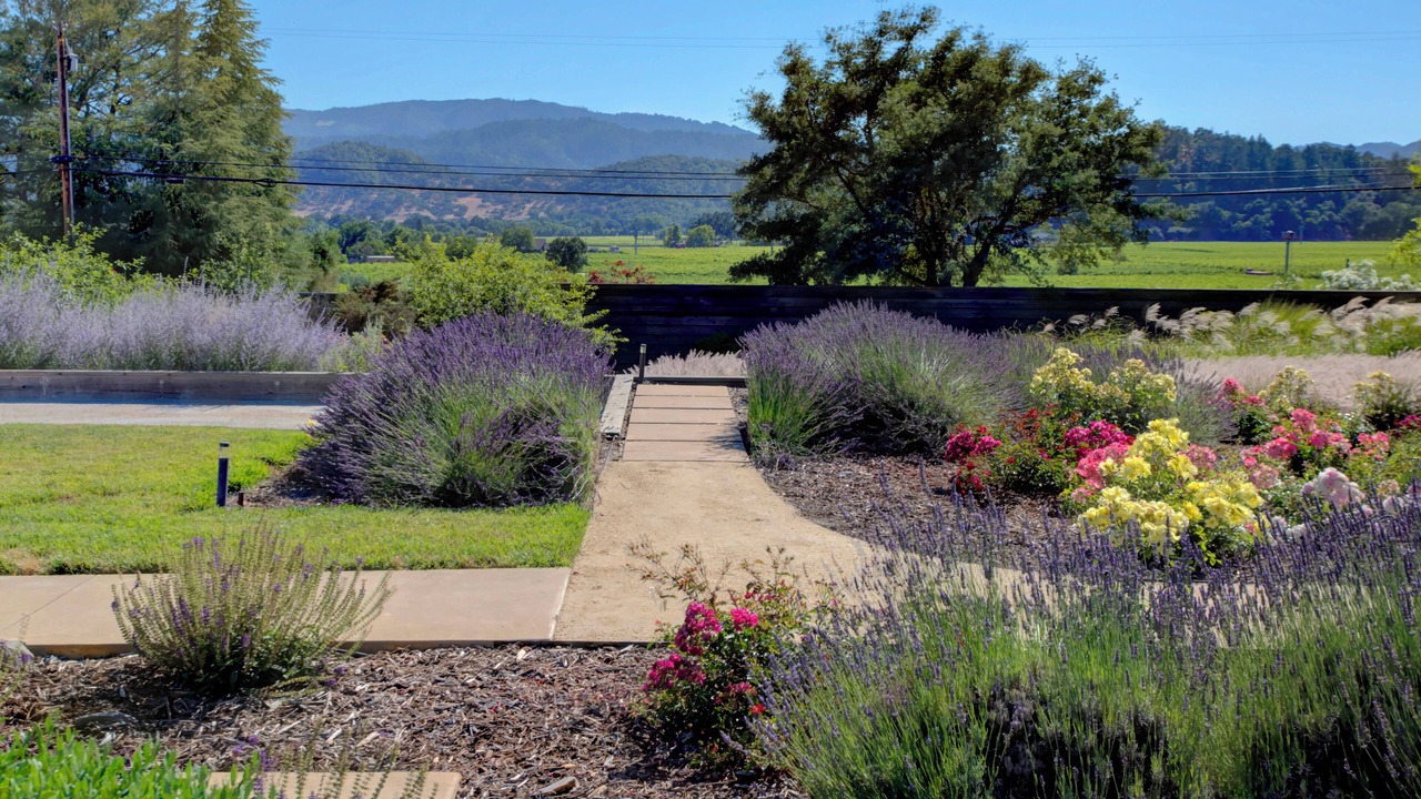 Photo of Outdoor in Yountville