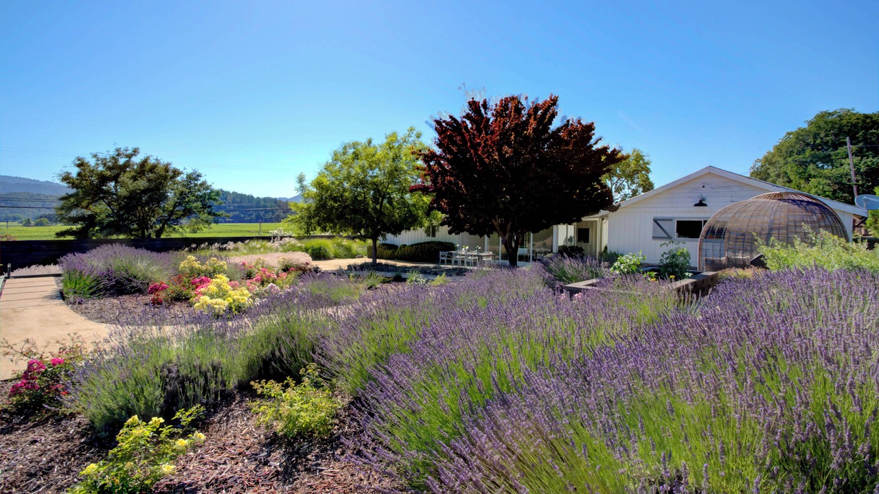 Photo of Outdoor in Yountville