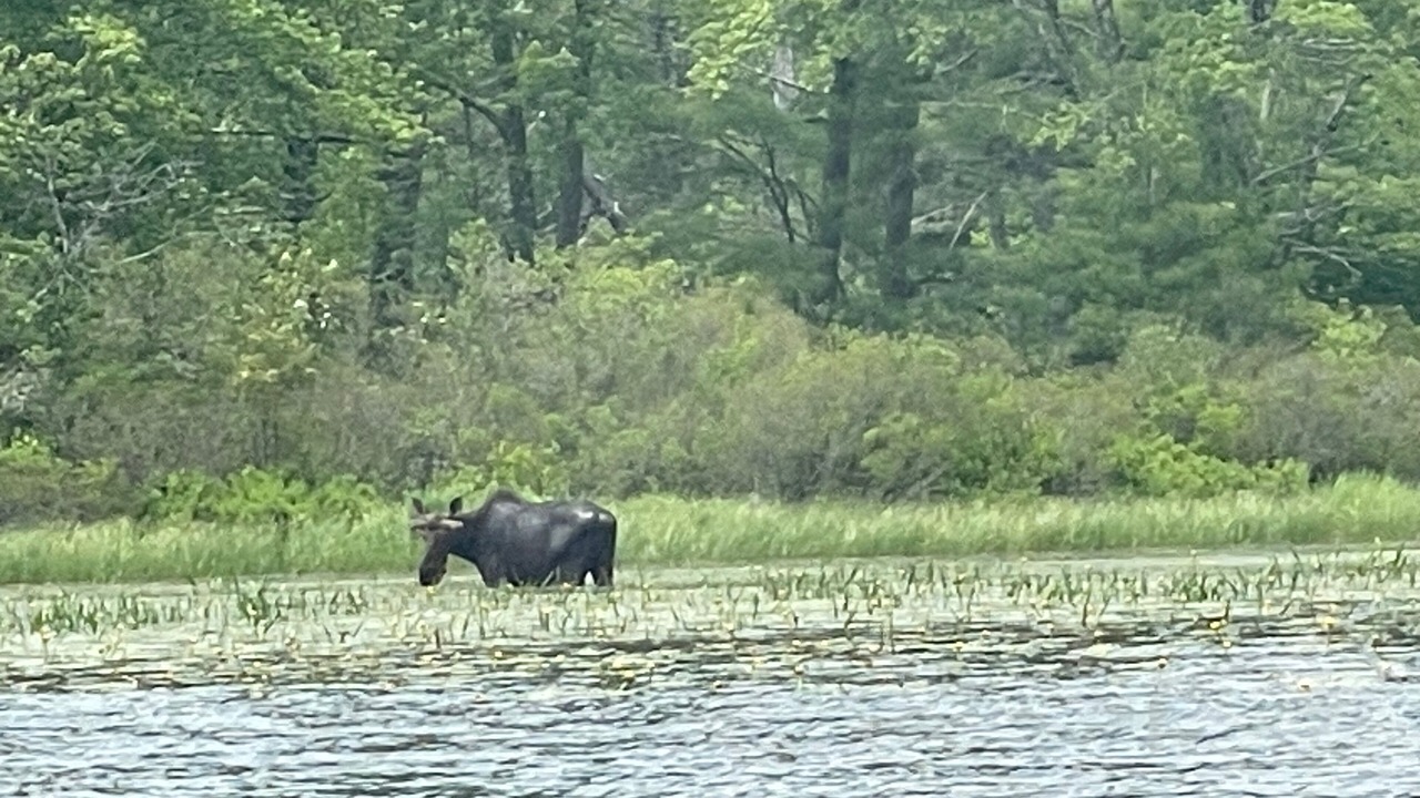 Photo of Others in Sandwich