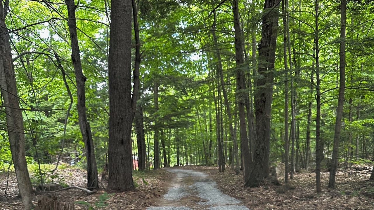 Photo of Outdoor in Sandwich