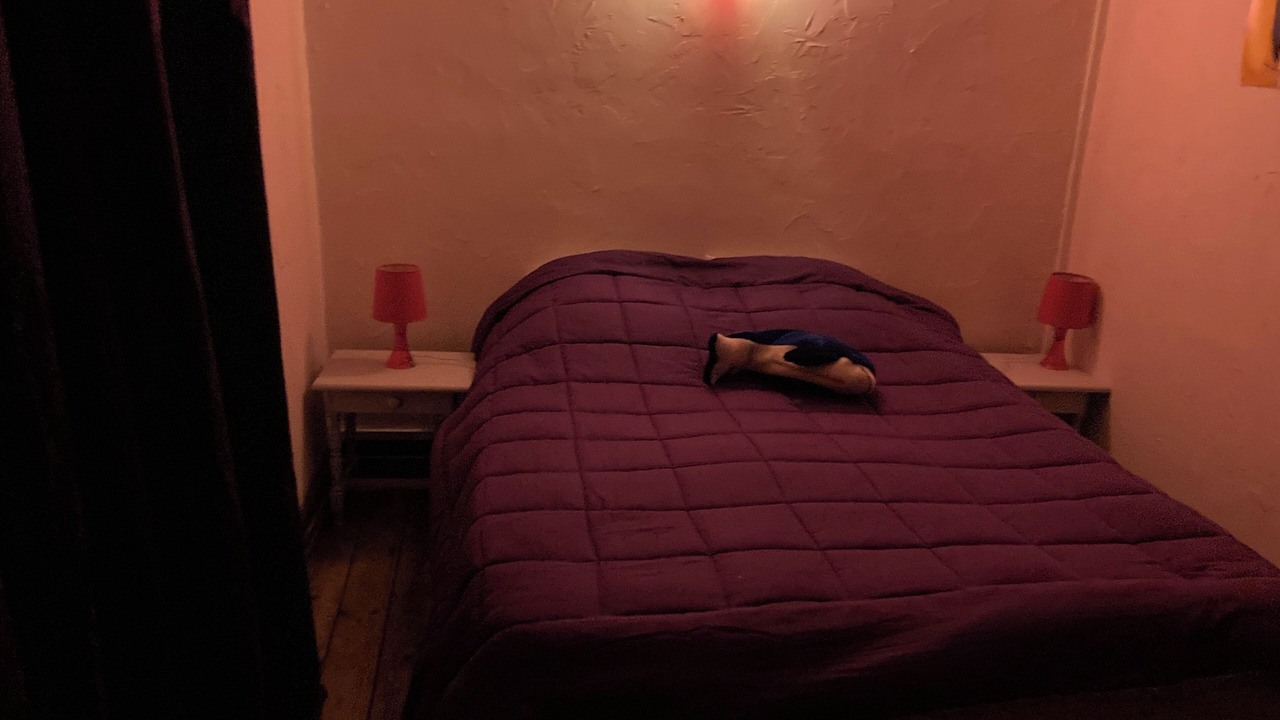 Photo of Bedroom in Saint-Aventin