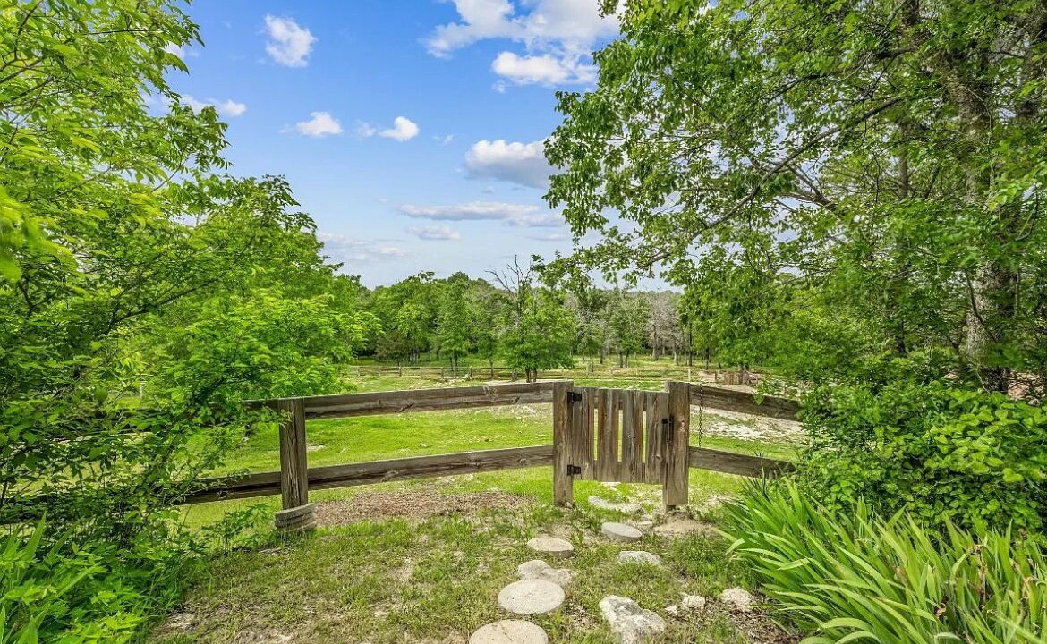 Photo of Outdoor in Annetta North