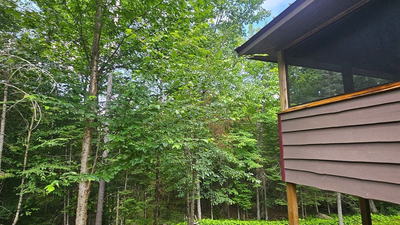 Photo of Outdoor in Indian Lake