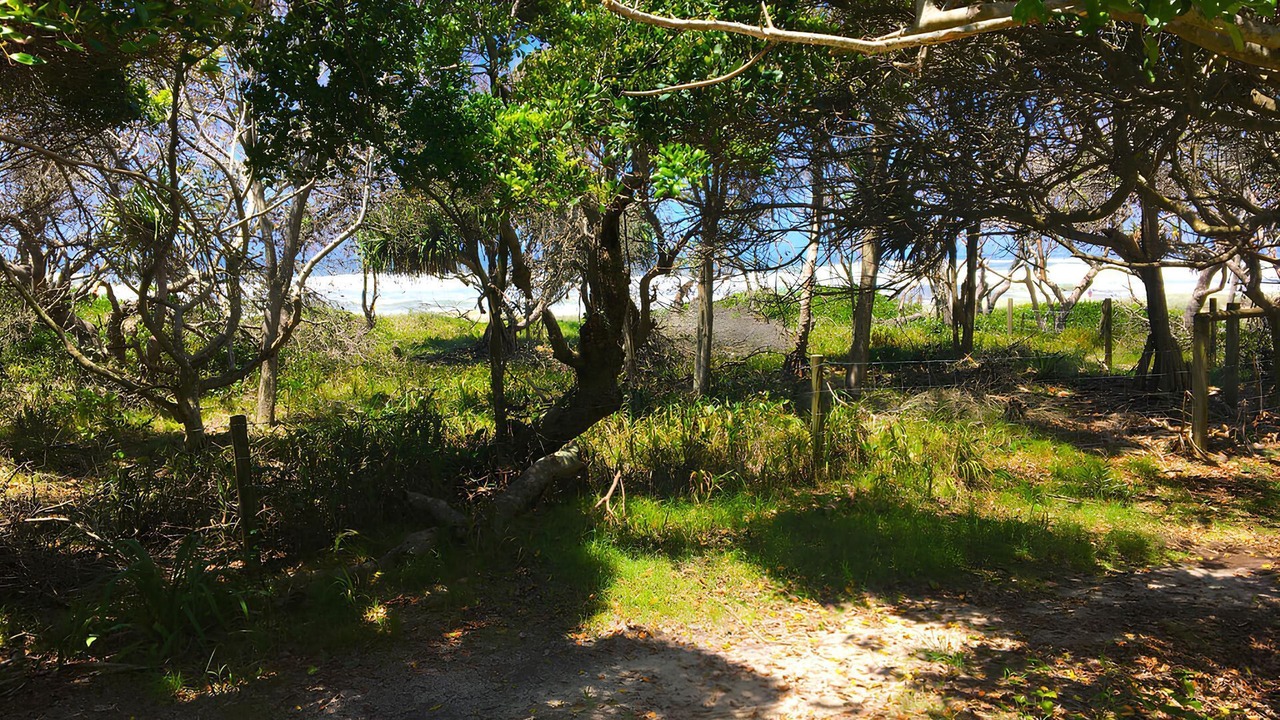 Photo of Others in Hastings Point