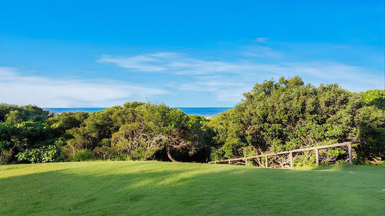 Photo of Others in Hastings Point