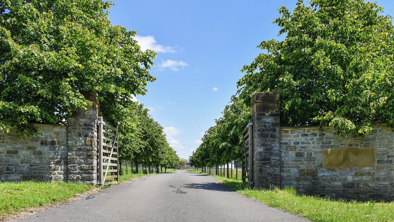 Photo of Others in Babcary