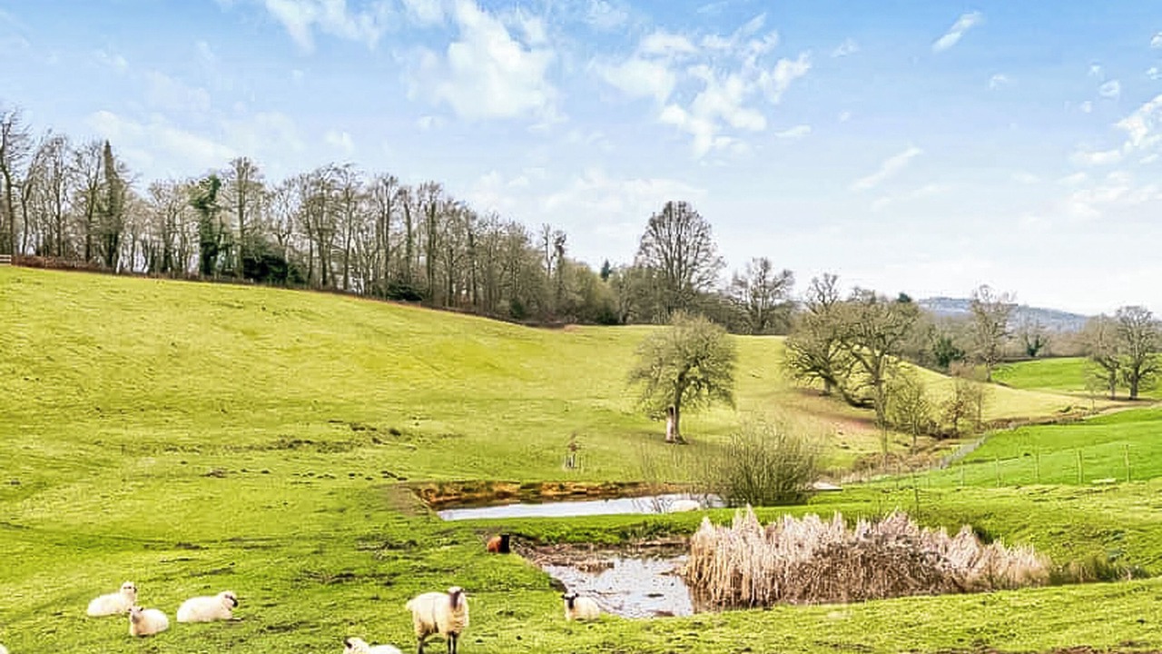 Photo of Others in Alderbury