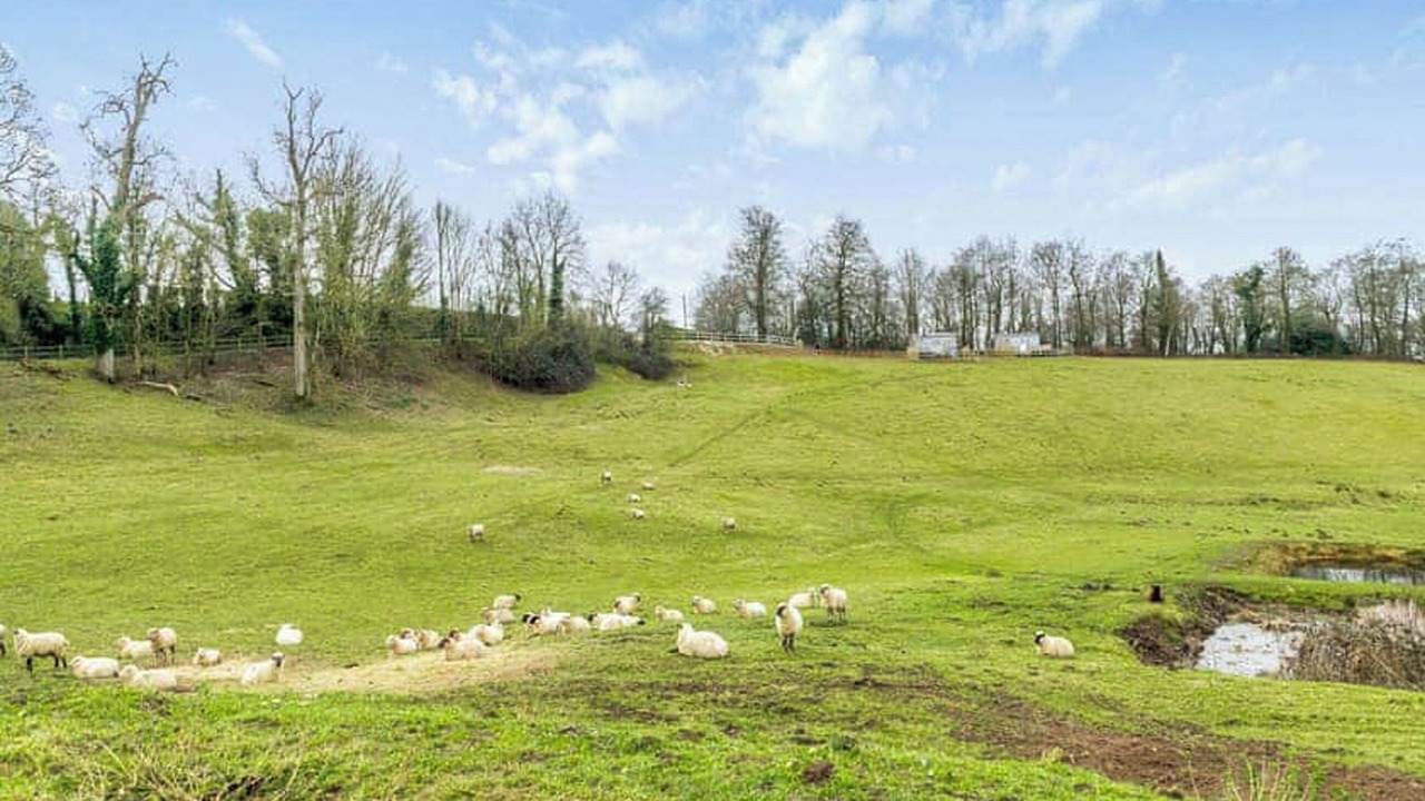 Photo of Others in Alderbury