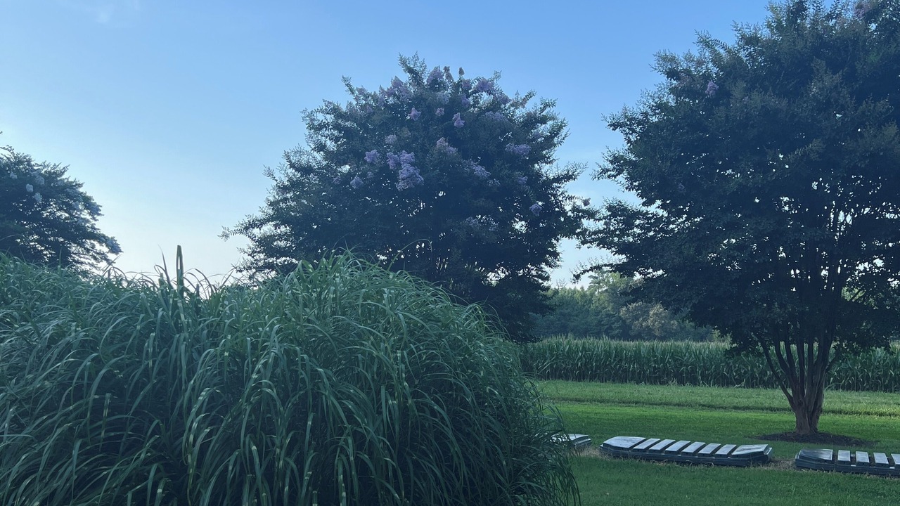 Photo of Outdoor in Wicomico Church