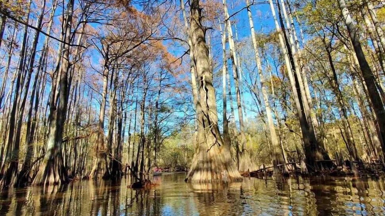 Photo of Outdoor in Jefferson