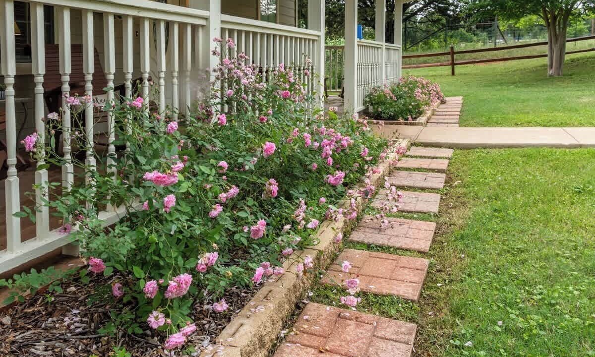 Photo of Outdoor in Waco