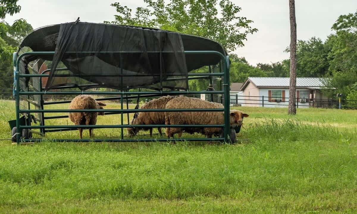 Photo of Others in Waco