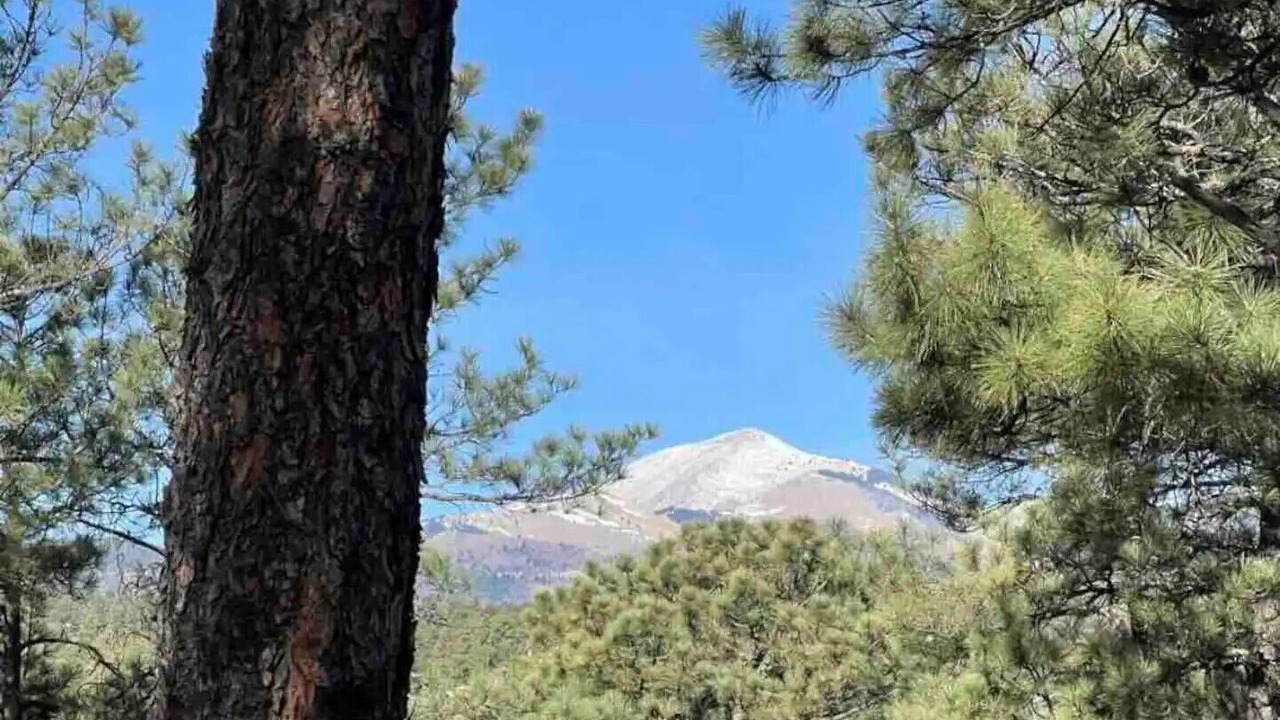 Photo of Others in Ruidoso