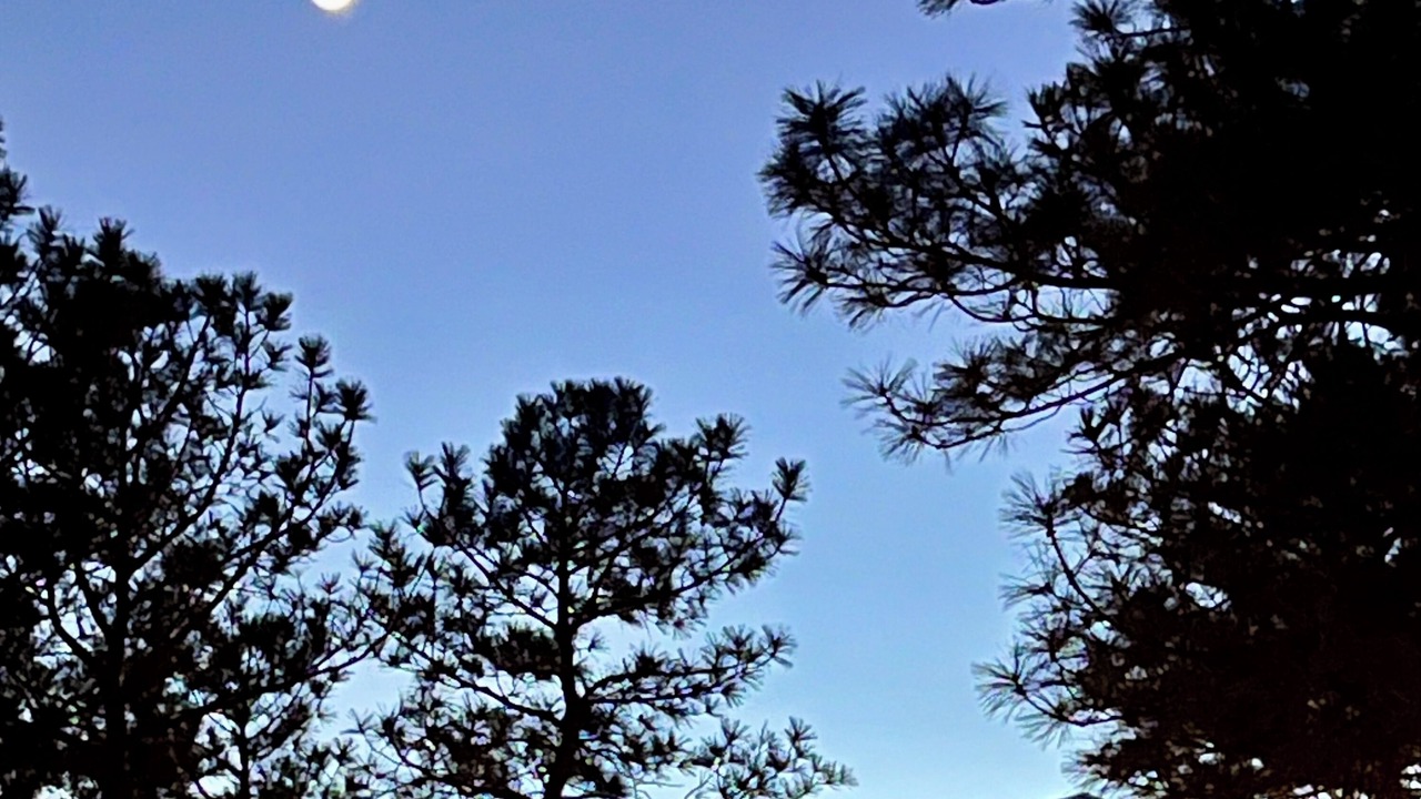 Photo of Outdoor in Ruidoso