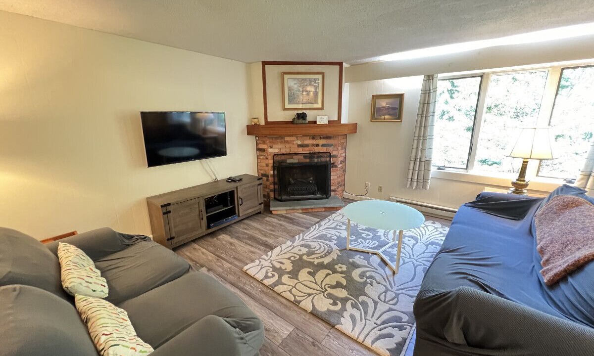 Photo of Livingroom in Bromley Mountain