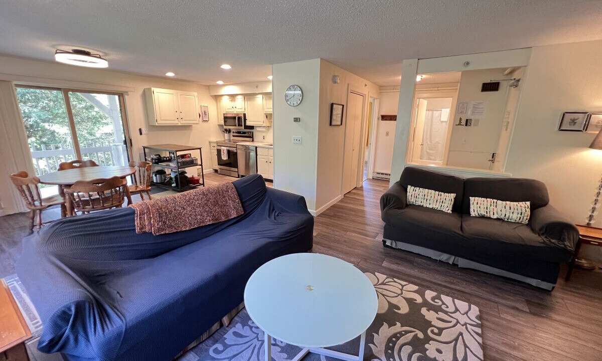 Photo of Livingroom in Bromley Mountain