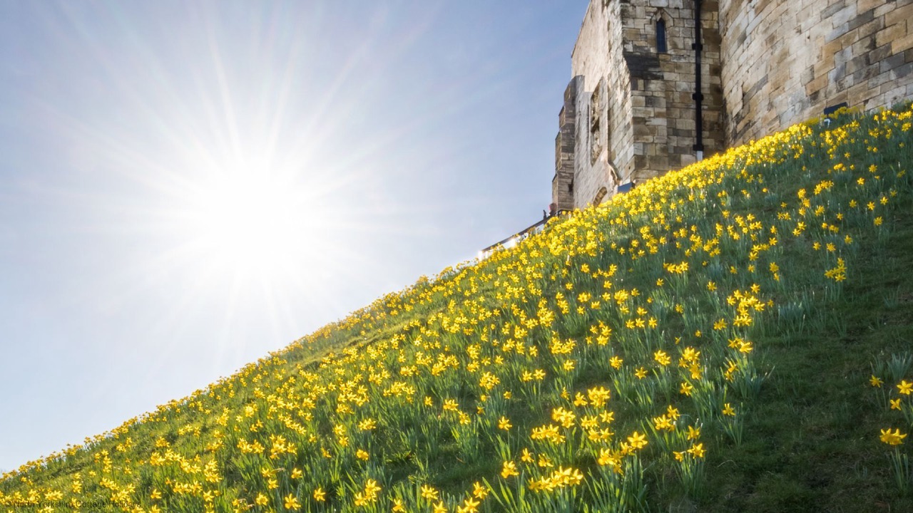 Photo of Outdoor in Carlton Miniott