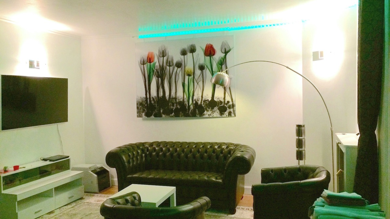 Photo of Livingroom in Passy