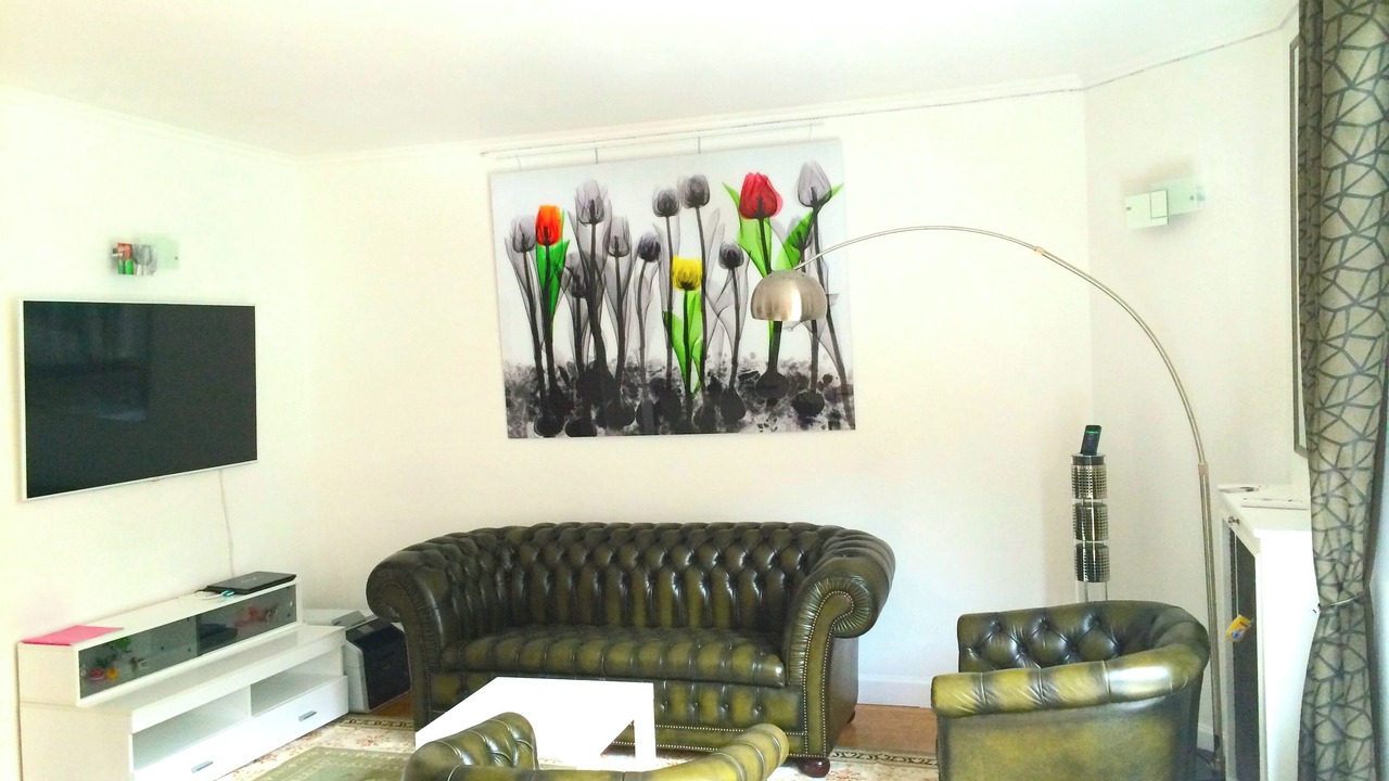 Photo of Livingroom in Passy
