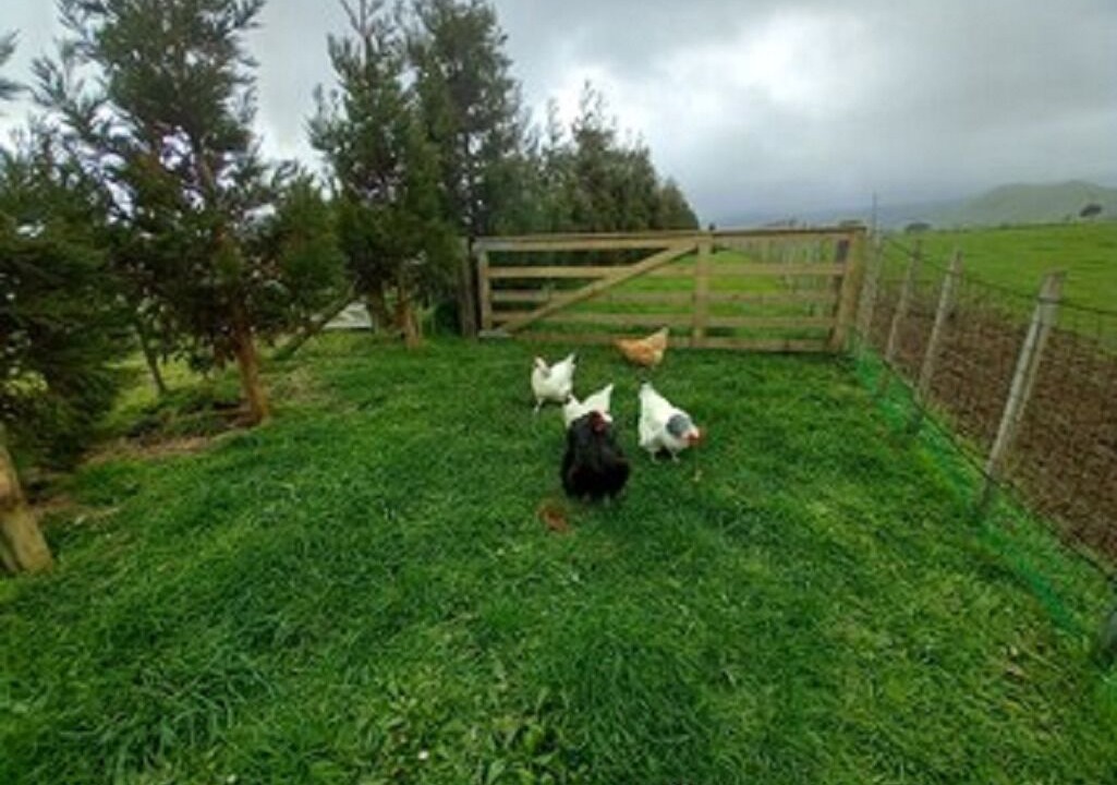 Photo of Outdoor in Tataraimaka