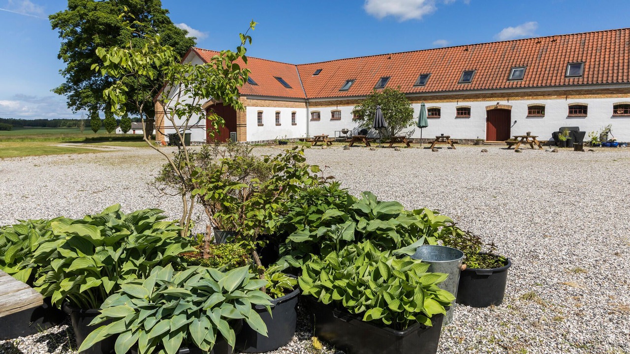 Photo of Others in Grenaa