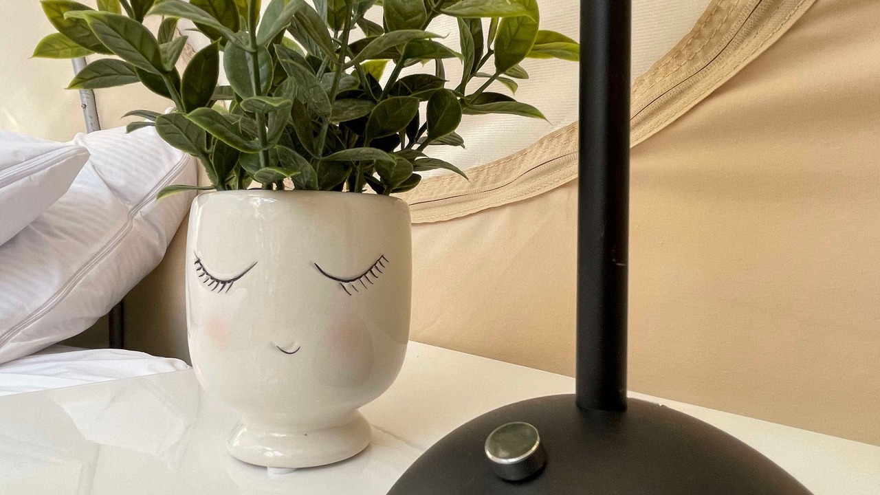 Photo of Others in Lyndon Station