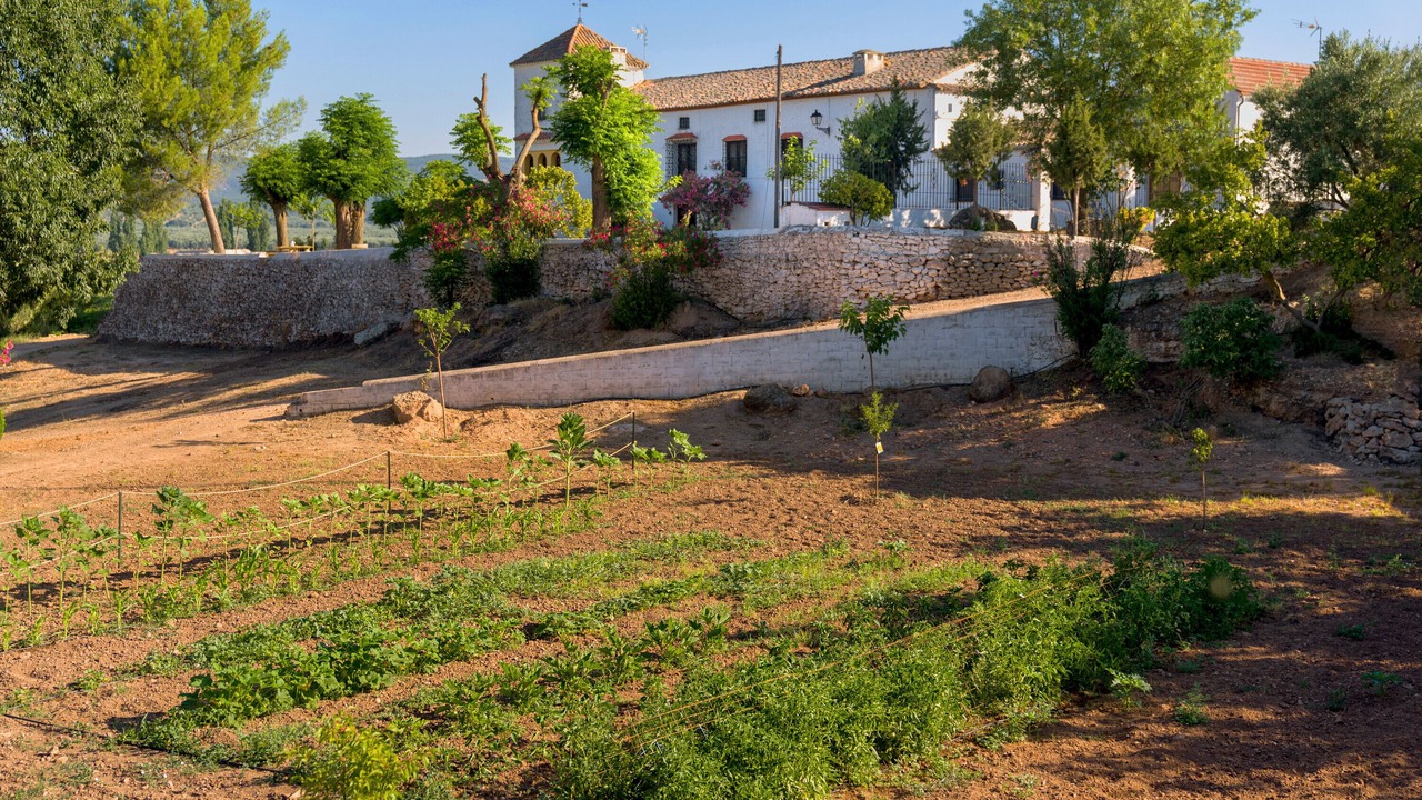 Photo of Outdoor in Beas de Segura