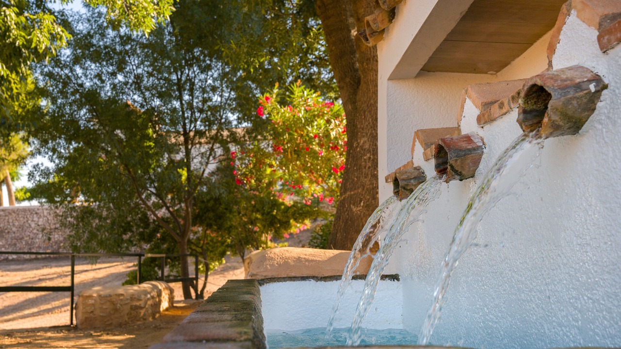 Photo of Outdoor in Beas de Segura
