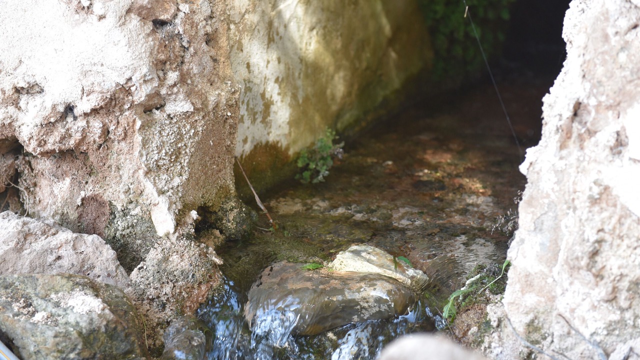 Photo of Others in Sierra de Cazorla