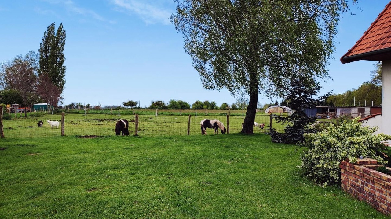 Photo of Outdoor in Gouchaupre