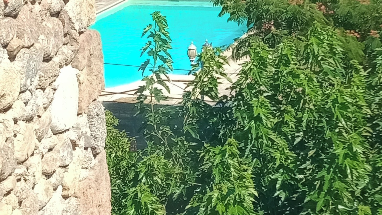 Photo of Outdoor in Lasalle