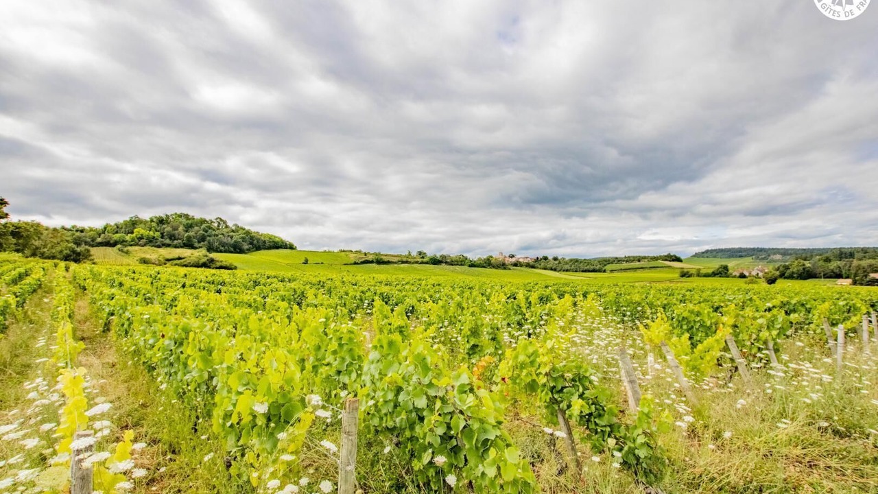 Photo of Outdoor in Saint-Martin-sous-Montaigu