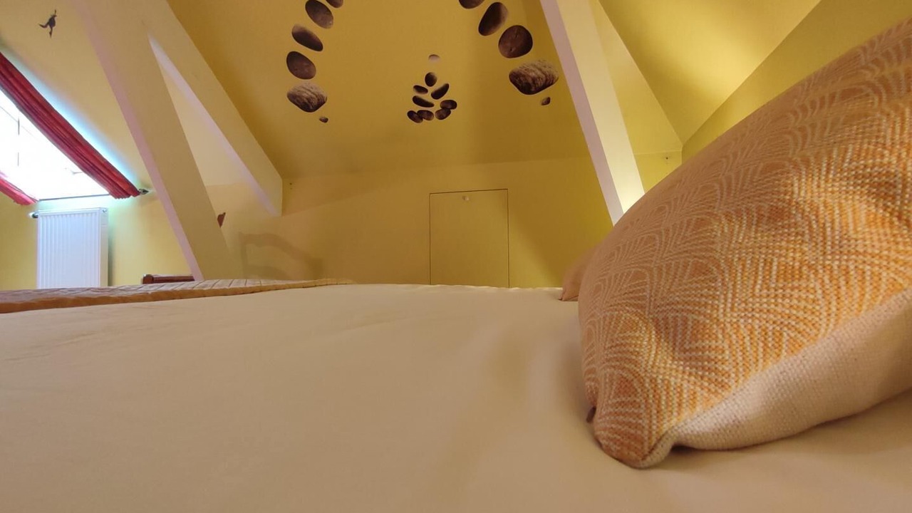 Photo of Bedroom in Raffetot