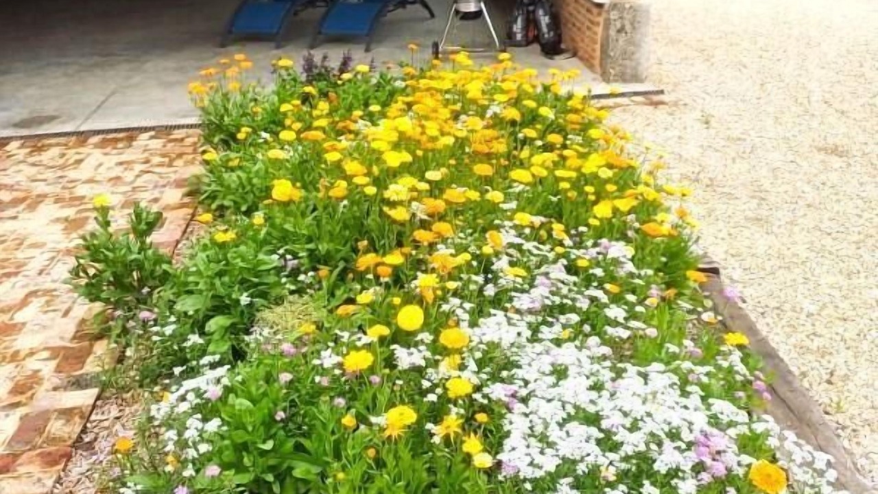 Photo of Patio Balcony in Veauville-les-Baons