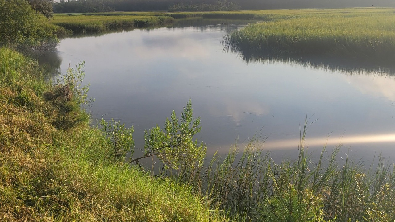 Photo of Others in Brunswick