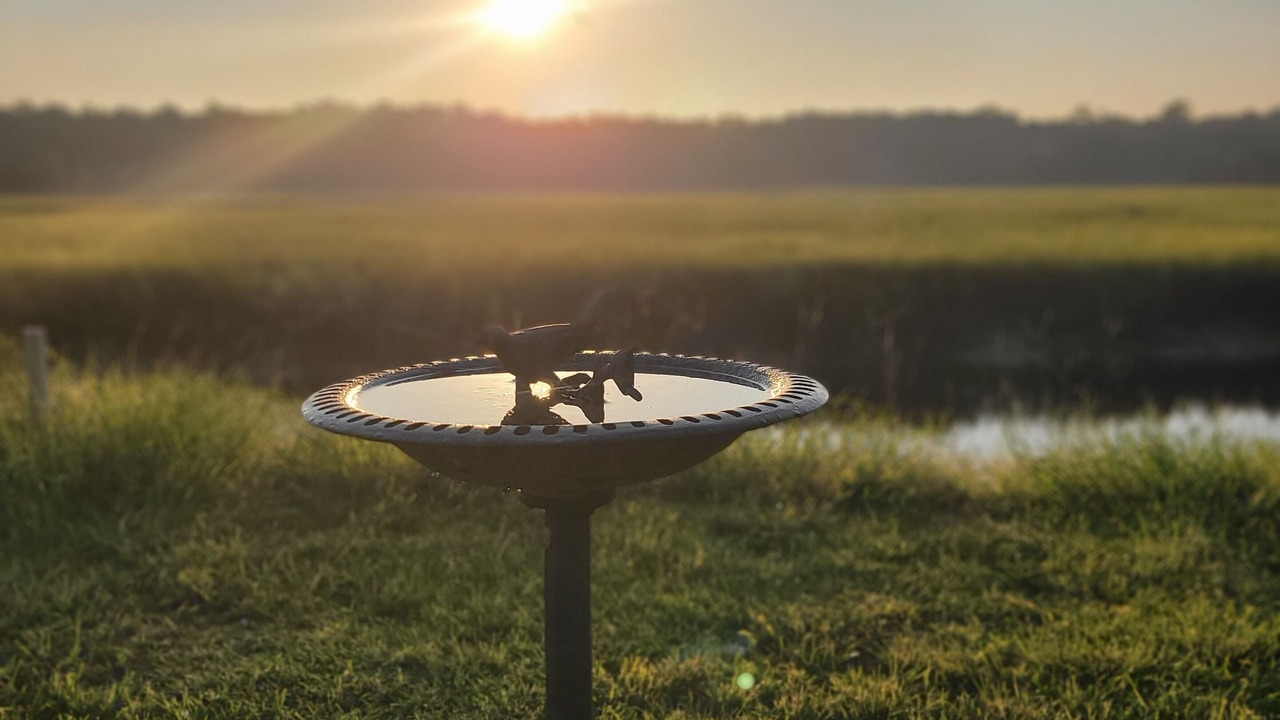 Photo of Others in Brunswick