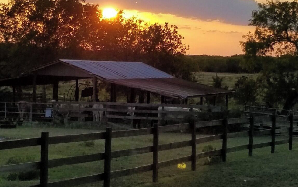 Photo of Outdoor in Pettus