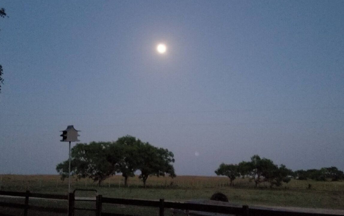 Photo of Outdoor in Pettus